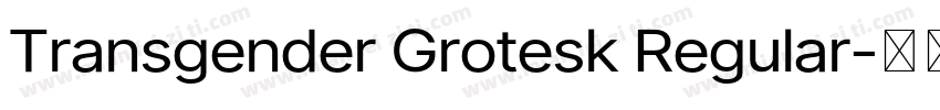 Transgender Grotesk Regular字体转换